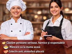 Bucatareasa, ospatarita, sofer cu masina, femeie gospodina, 